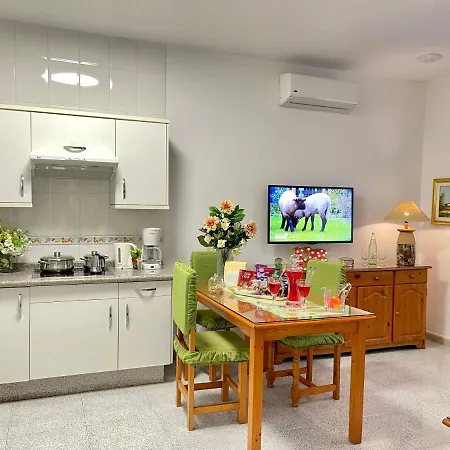 شقة Emycanarias Homes مْبيسينداريو